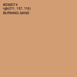 #D39D74 - Burning Sand Color Image